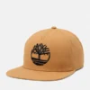 Baseballcap mit flachem Schirm Baseballcap mit flachem Schirm