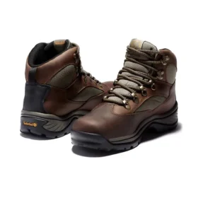 Chocorua Gore-Tex Stiefel «Braun»