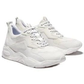 Delphiville «White»
