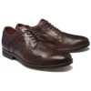 Edgeworth Skateschuh „Braun“