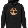 Golden Logo Hoodie «Schwarz»
