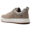 Maple Grove Trainer «Tan»