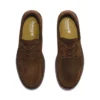 Newmarket II Schuhe «Cocoa»