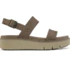 Safari Dawn «Grey Braun»